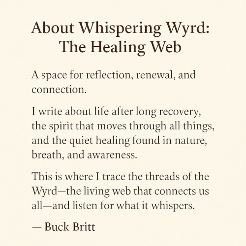 Welcome to My Small Corner of the&nbsp;Web