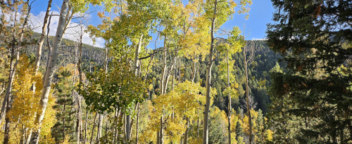 The Importance of Being&nbsp;Yourself