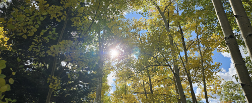 From Darkness to&nbsp;Light